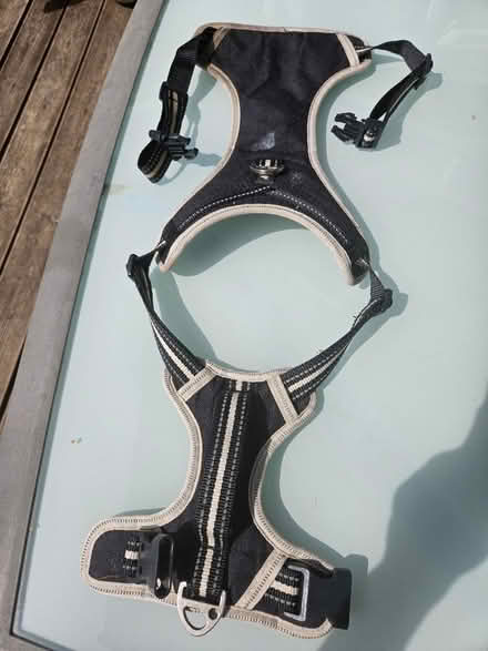 Photo of free Medium dog harness (March PE15) #1