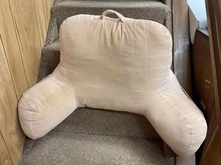 Photo of free Back rest (Albertson, NY) #1