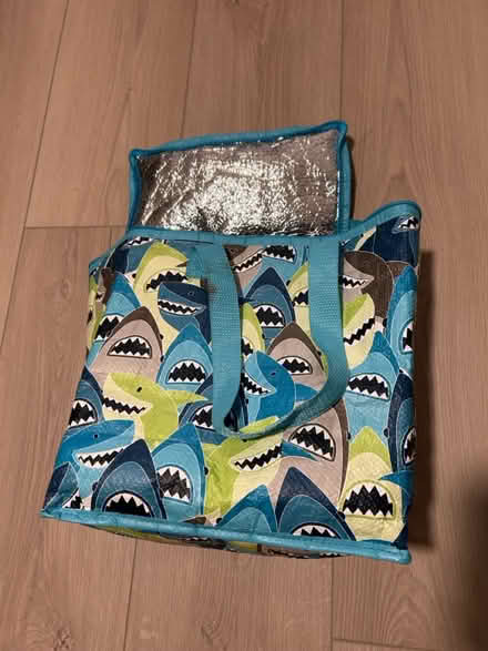 Photo of free Insulated bag (east Petaluma) #2