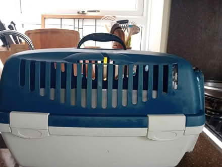 Photo of free cat carrier (Dun Laoghaire central) #1