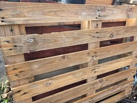 Photo of free Wooden pallets (Wulfstan Way, CB1, Cambridge) #1