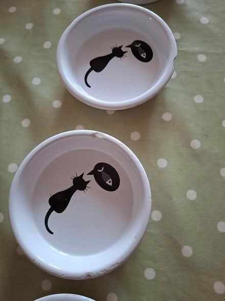 Photo of free Pet food bowls (Cats) (Twickenham TW2) #2