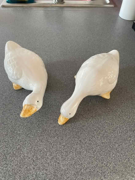 Photo of free 2x duck ornaments (Chessington KT9) #1