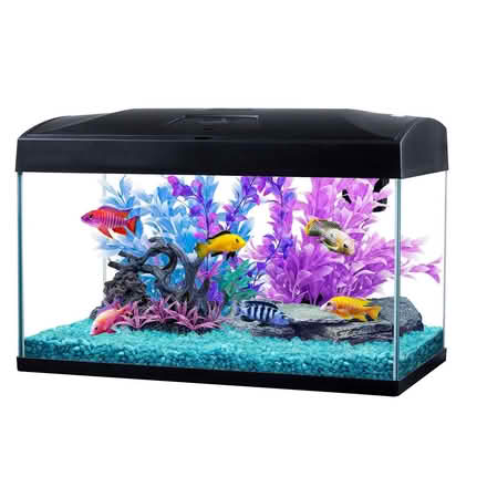 Photo of Rectangular Fish tank (Rushenden ME11) #1