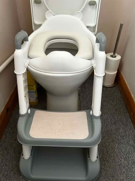 Photo of free Toddler’s toilet seat (Mottingham SE9) #3