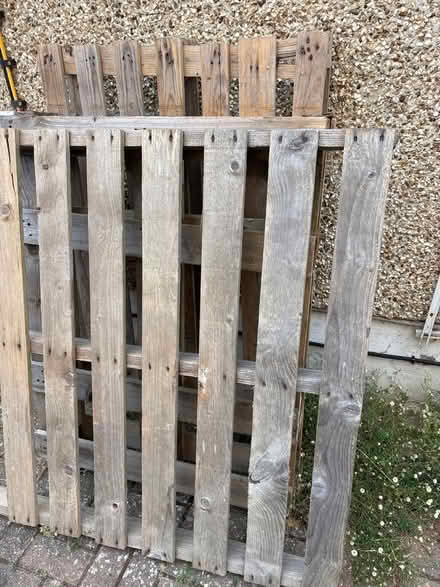 Photo of free Pallets (Kidlington OX5) #1