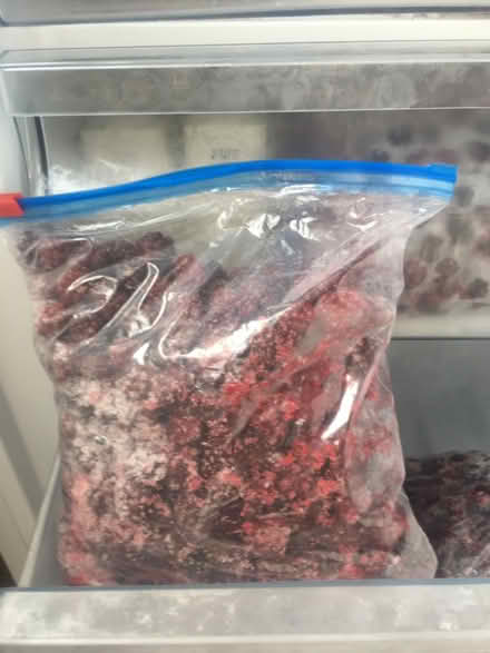 Photo of free Bags of Fresh Organic Blackberries (Liverpool L6) #2