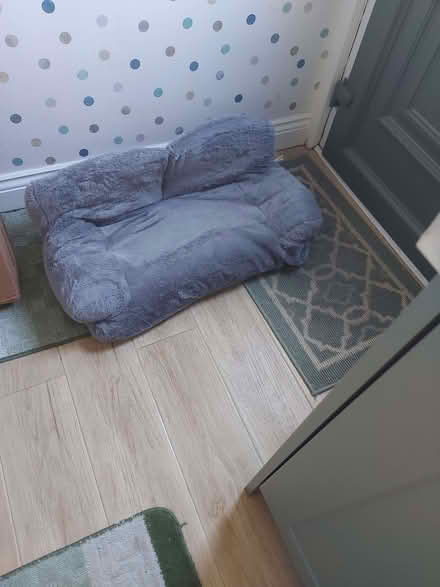 Photo of free cat sofa bed and deck chair sratching post (Grangefield Road Industrial Estate LS28) #1