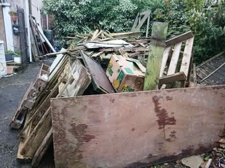 Photo of free Mountain of wood (Tile Hill CV4) #1