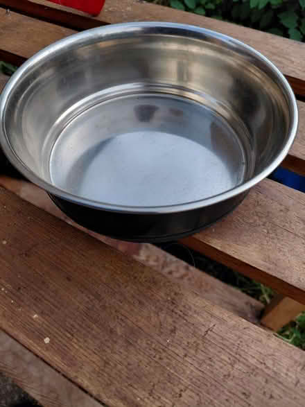 Photo of free Medium dog bowl (Knightsfield Welwyn Garden AL8) #1