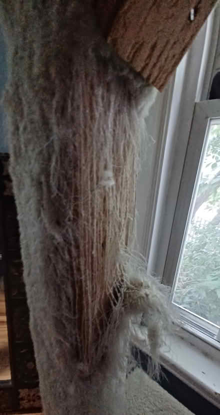 Photo of free Custom cat tree (Cambridge Walden @ Sherman) #1