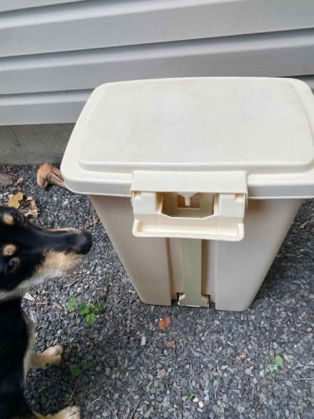 Photo of free Rubbermaid Plastic Trash Can (Plainfield near So. Plainfield) #3