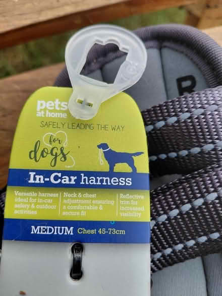 Photo of free Dog car harness (Knightsfield Welwyn Garden AL8) #2