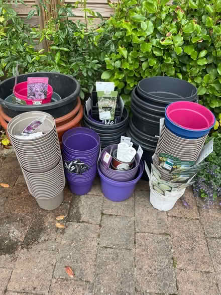 Photo of free Plant pots - big selection (Coombe KT2) #1
