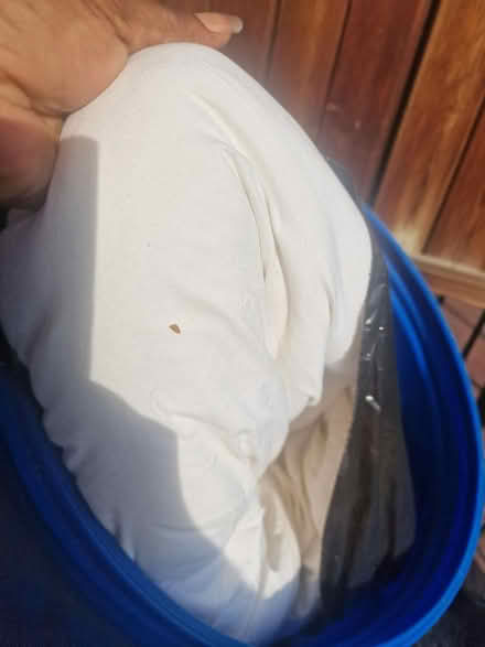 Photo of free King size duvet (Pollards Hill, CR4) #1