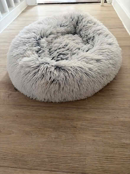 Photo of free Cat bed & Cat litter tray (Earl’s Court SW5) #1