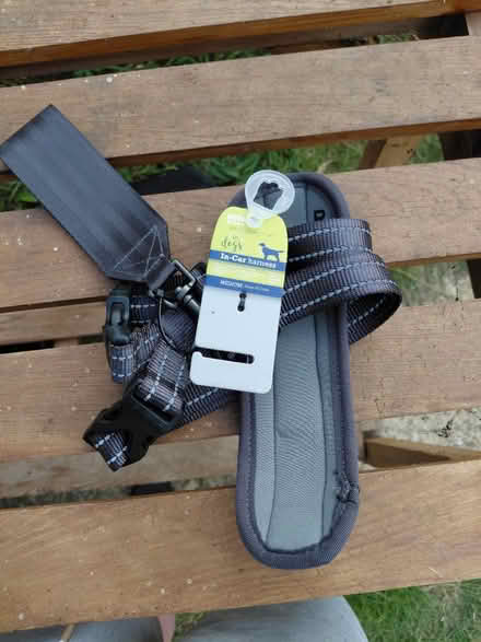 Photo of free Dog car harness (Knightsfield Welwyn Garden AL8) #1
