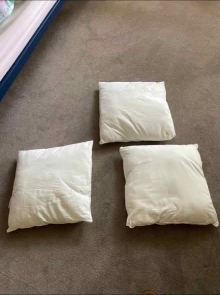 Photo of free 3 cushion pads (Kenilworth CV8) #1