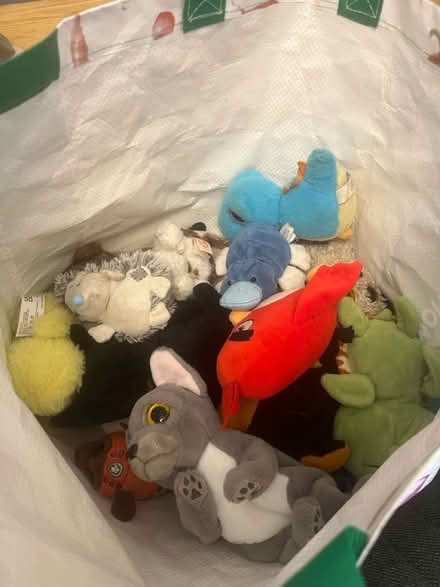 Photo of free Two bags of teddies (Darlington DL1) #2