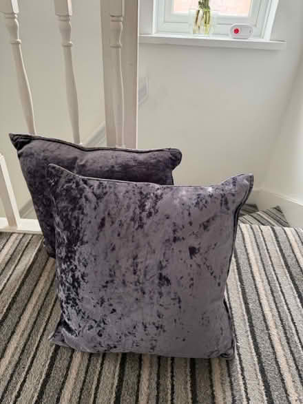 Photo of free Purple velvet cushions (B42 1hr) #1
