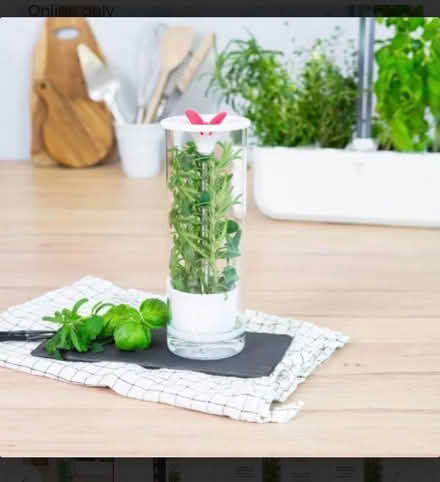 Photo of free Fresh herb keeper (Ashford TW15) #3