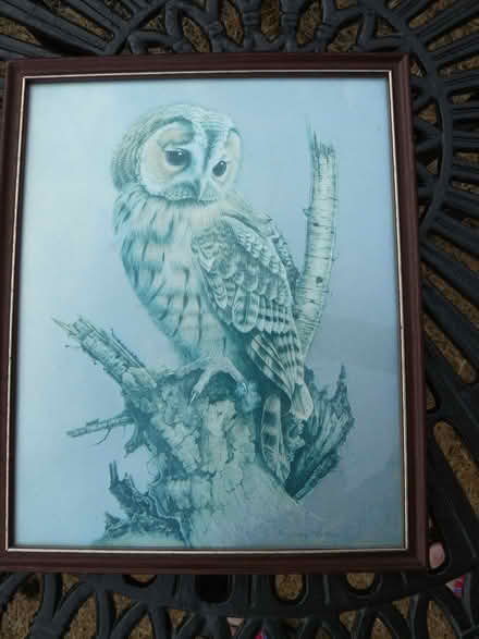Photo of free Framed foil picture of an owl by Audrey North 27cmx22cm (Kempsey WR5) #1