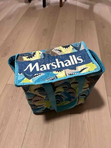 Photo of free Insulated bag (east Petaluma) #1