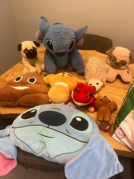 Photo of free Two bags of teddies (Darlington DL1) #1