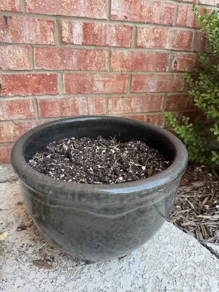 Photo of free Plant pot (75093) #1