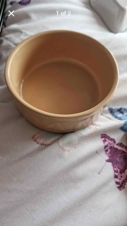 Photo of free Cat bowl (Coed edeyrn CF23) #2
