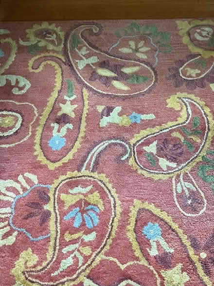 Photo of free Room Rug (west of Watertown Square) #2
