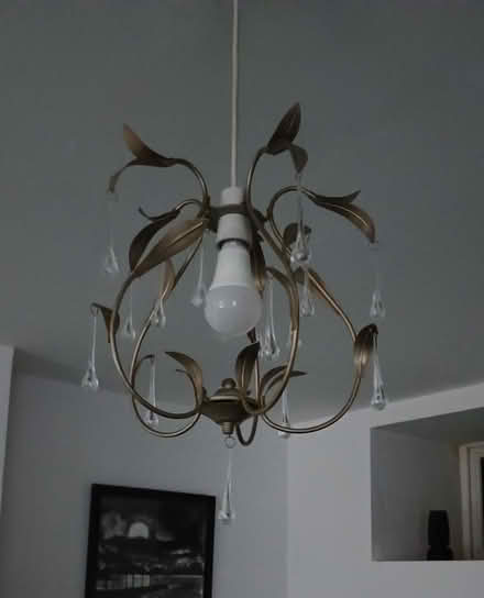 Photo of free Pendant lamp shade (Maryport) #1
