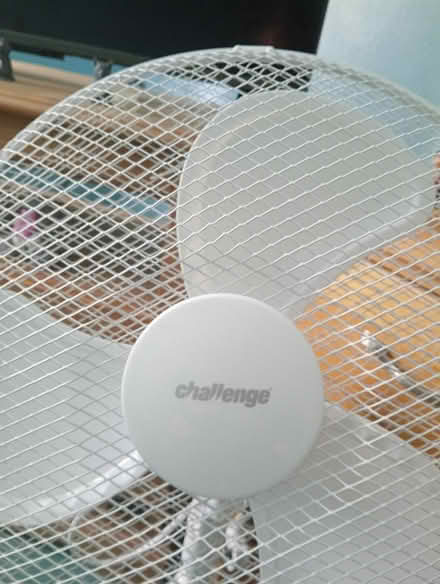 Photo of free Fan (Ta219ep) #2