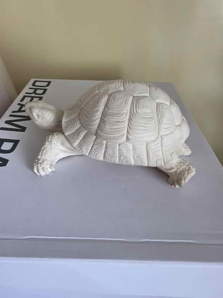 Photo of free tortoise figurine (South Ozone Park) #1
