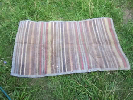 Photo of free Turtle Mat (North Sheen TW9) #1