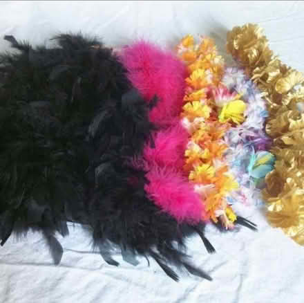 Photo of free Boas & Leis (Millrun Park) #1
