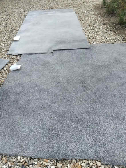 Photo of free Grey carpet pieces (Toftwood Dereham) #1
