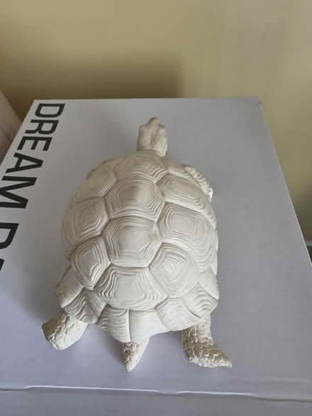 Photo of free tortoise figurine (South Ozone Park) #2