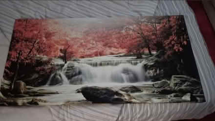 Photo of free Canvas print (Ashington (NE63)) #1