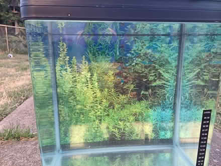 Photo of free Fish tanks (Altofts WF6) #1
