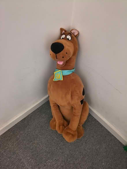 Photo of free Scooby doo (Harrold. MK43) #1