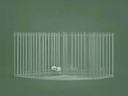 Photo of Bamboo fencing & wire fencing (Lodgevale Estate LL14) #1