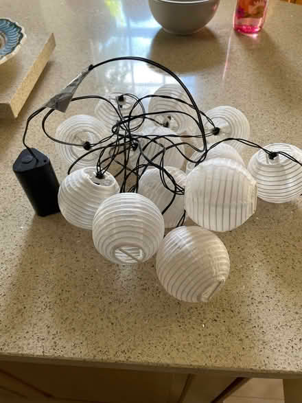 Photo of free Hanging lights (The Grange EH9) #1