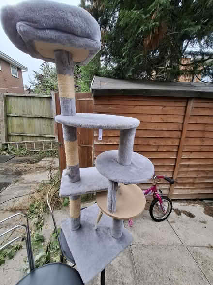 Photo of free Grey Multi-Level Cat Tree (Manchester M12) #1