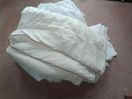 Photo of free Duvets (Chartham CT4) #1