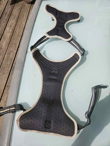 Photo of free Medium dog harness (March PE15) #2
