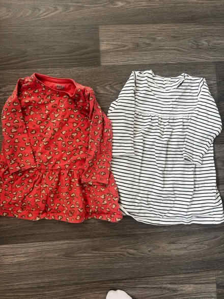 Photo of free Girls dresses 12-18 months (Brockworth GL3) #1