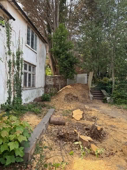 Photo of free Wood chip and logs (Eastbourne BN21) #1