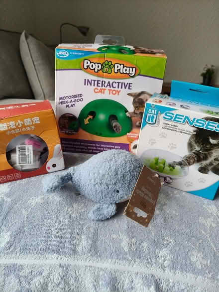Photo of free Cat toys (East Mains G74) #1