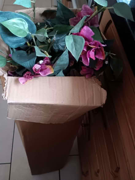 Photo of free Purple plastic flowers decor in a box (Paradise DY2) #2